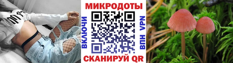 Псилоцибиновые грибы Cubensis  Купить где  Котельниково 