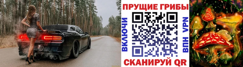 Псилоцибиновые грибы мухоморы Котельниково